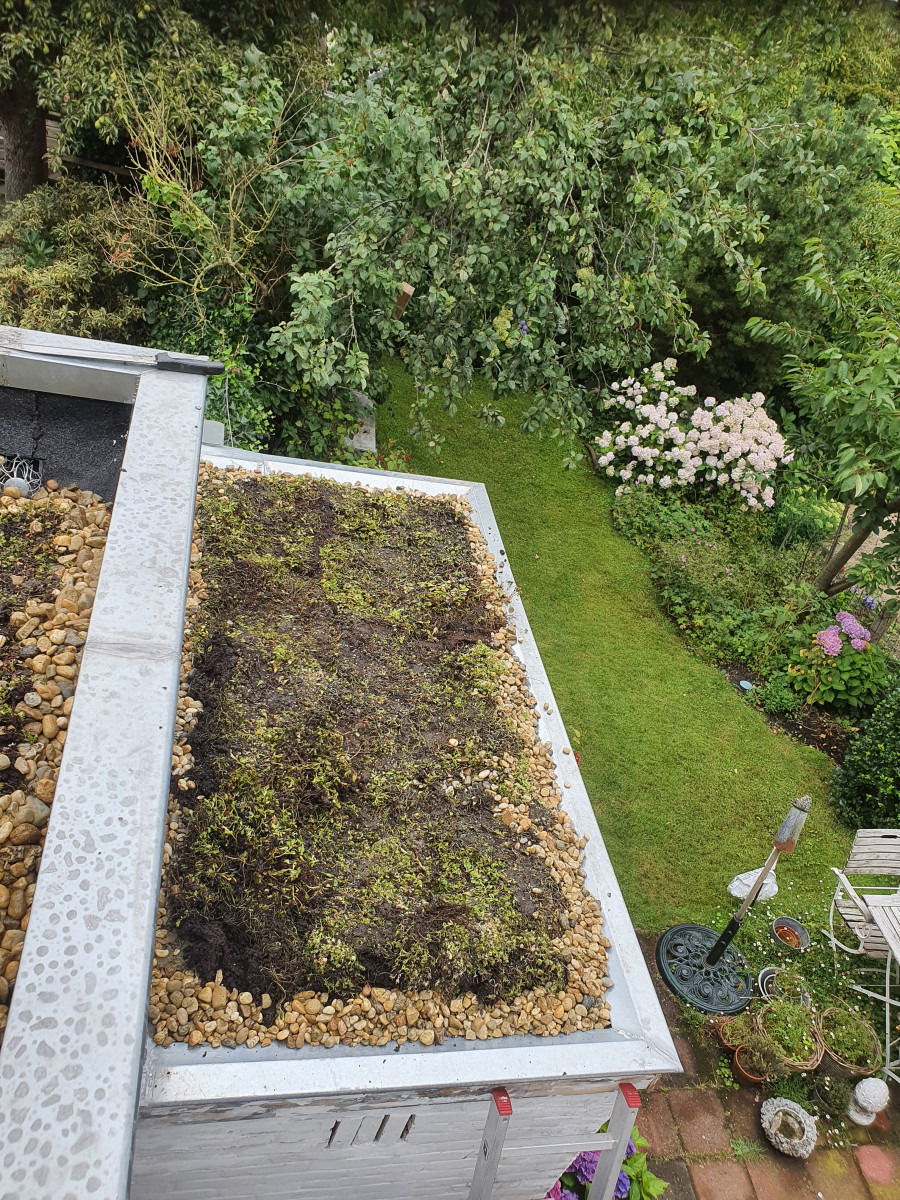 Essensteijnstraat te Voorburg - na renovatie foto 25 | aanbouw door Leroy the Builder