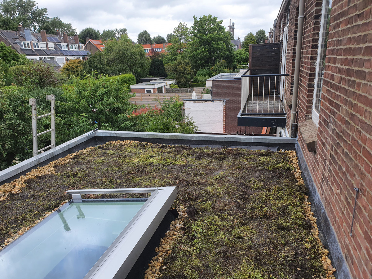 Essensteijnstraat te Voorburg - na renovatie foto 26 | aanbouw door Leroy the Builder