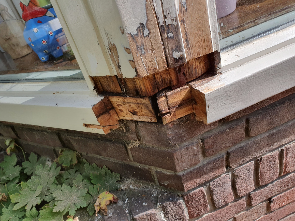 Houtrot pabstlaan te voorburg - na renovatie foto 4 | onderhoud door Leroy the Builder