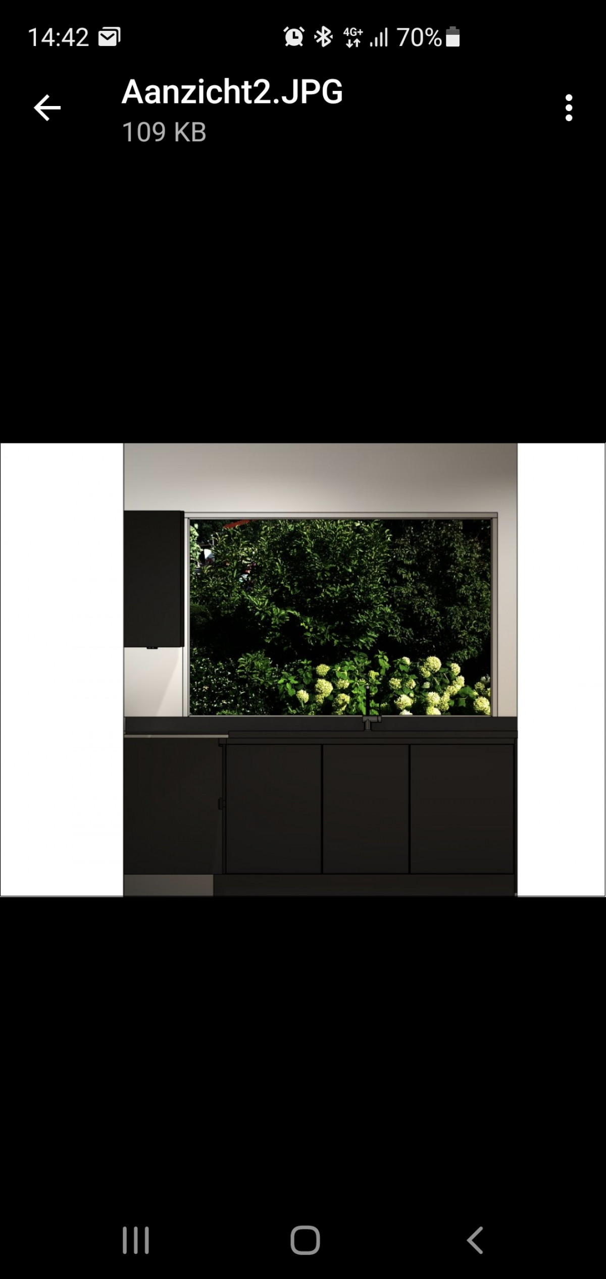 Vuurland - voor renovatie foto 3 | Oude situatie