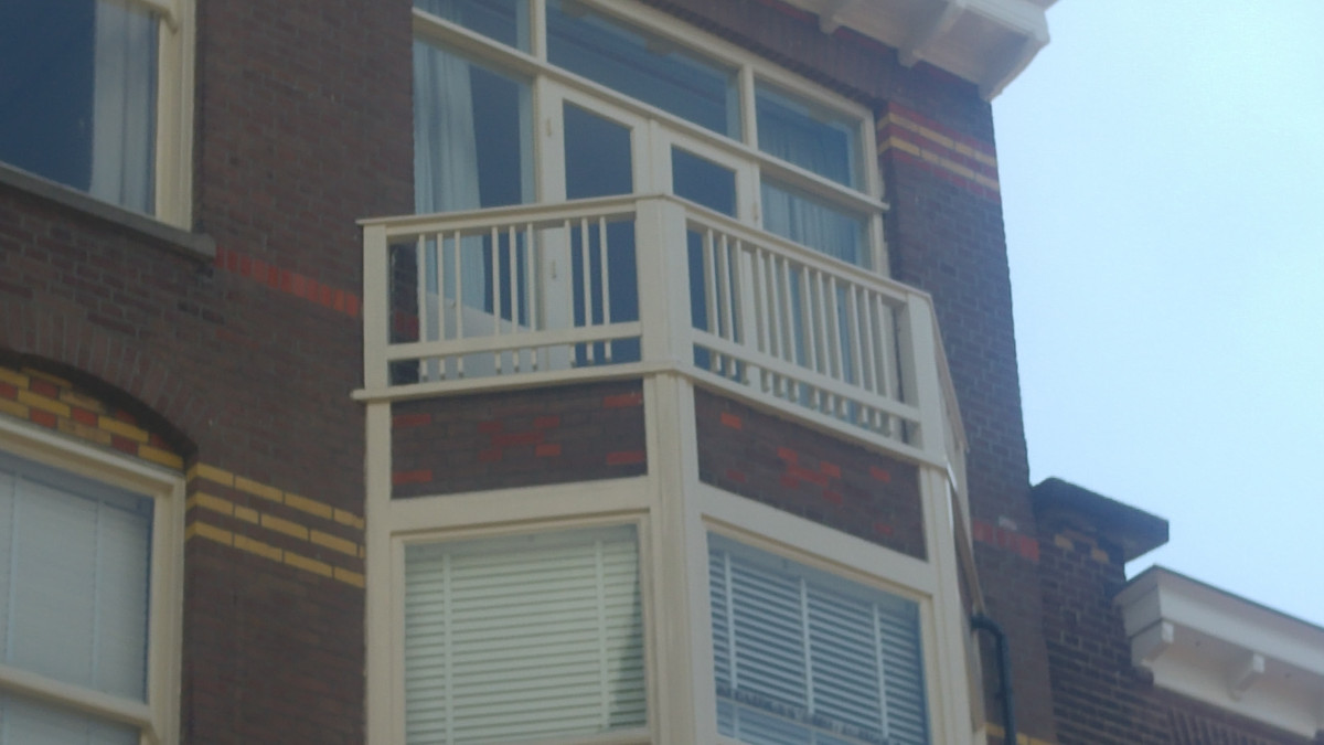 Balkonhekken - na renovatie foto 2 | onderhoud door Leroy the Builder